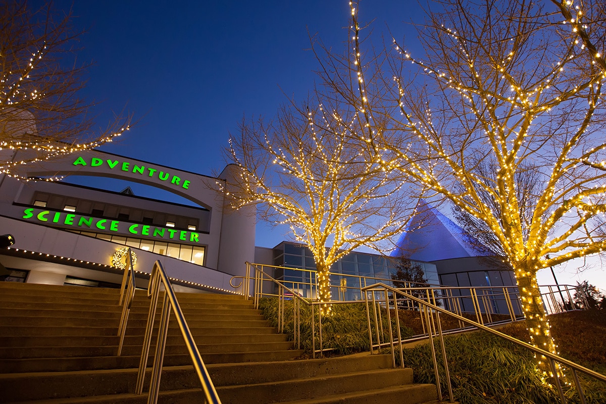 Commercial landscape lighting for Adventure Science Museum