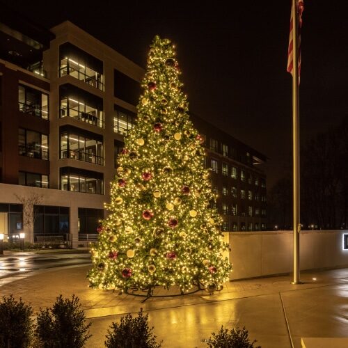 Beautifully decorated Christmas tree with lights